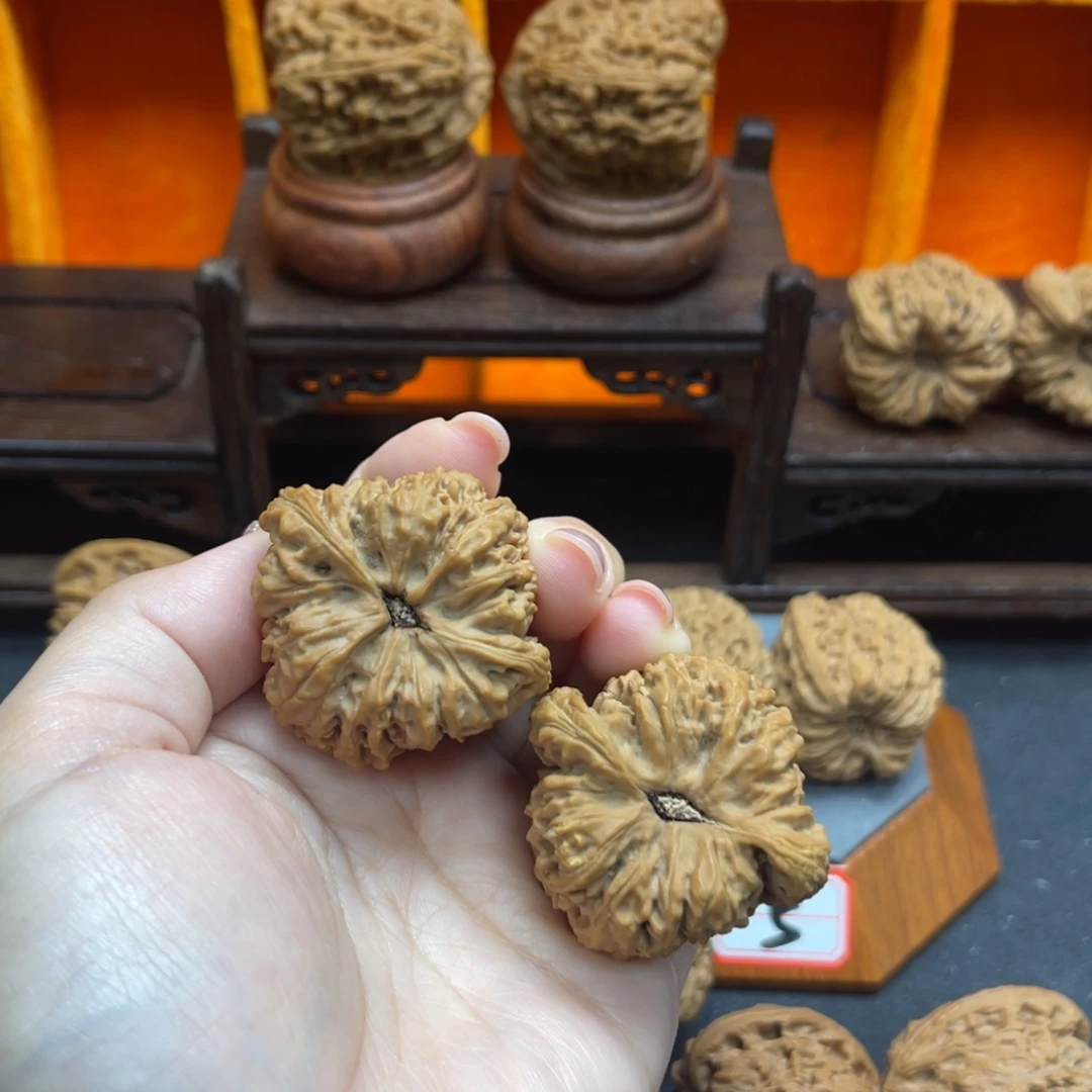 林*国小鹏飞涿鹿南疆石42