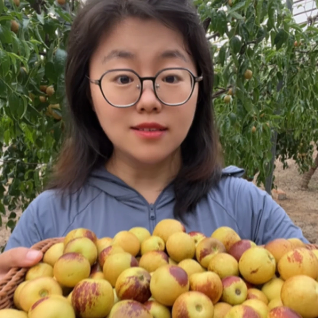 现摘现发送礼佳品应季水果露天陆地顺丰包邮正宗黄骅冬枣鲜冬枣