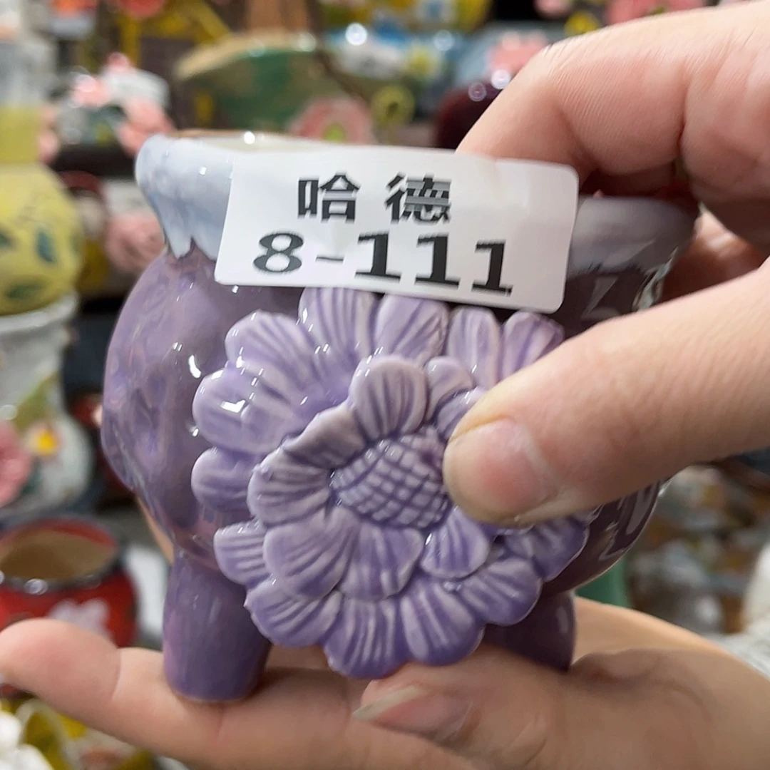 【闪购商品】红陶8111