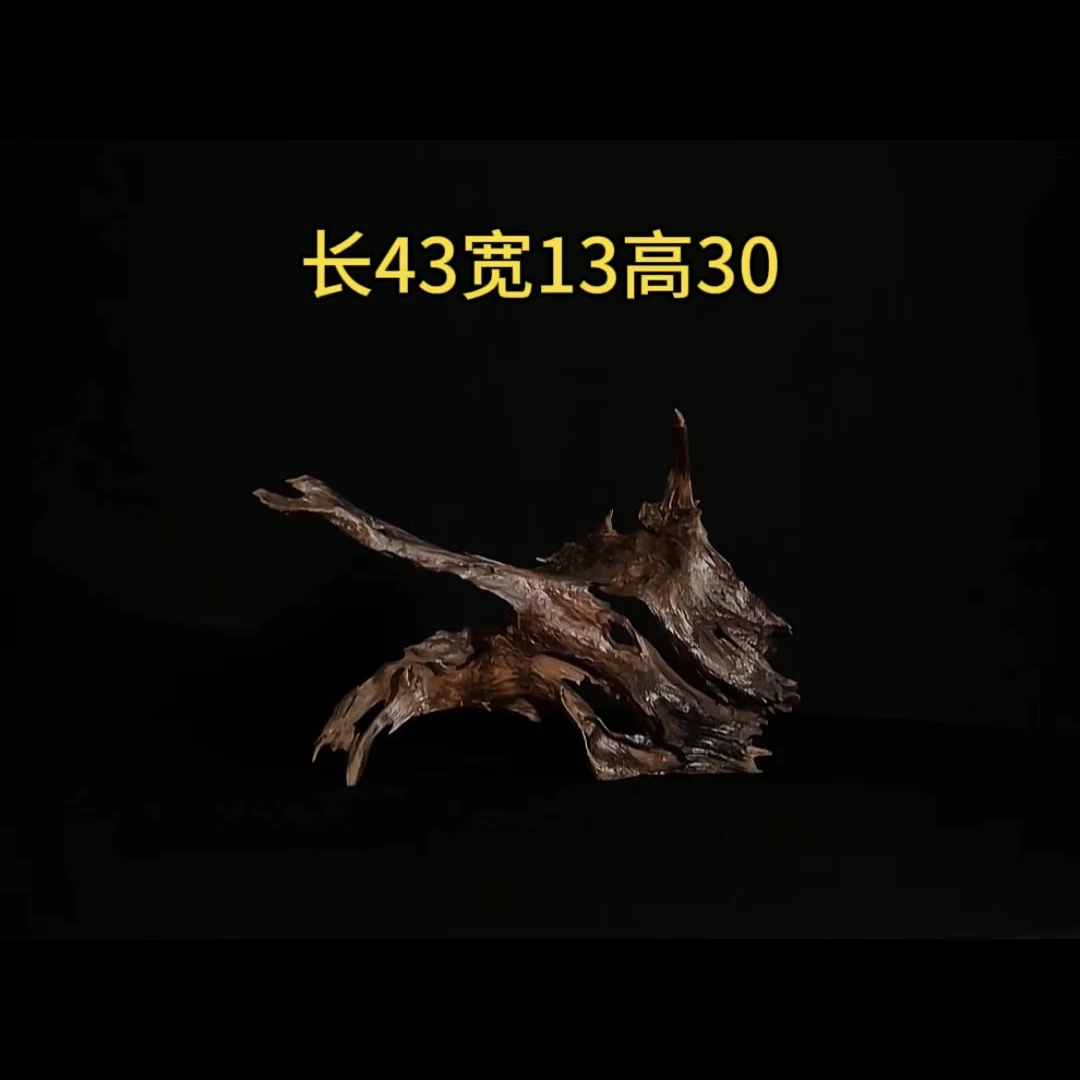 张大狼沉木鱼缸造景43cm薄树皮镂空飘枝沉木鱼缸装饰摆件