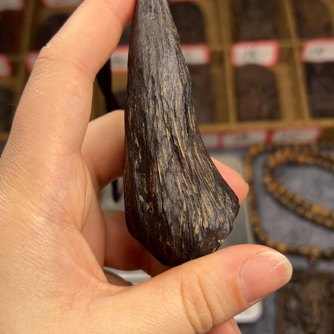 海南虫漏随行手把件