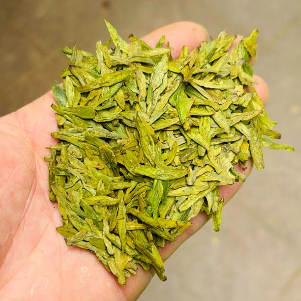 【A20】龙井43 大佛龙井黄版浓豆香2025新茶 （顺丰快递）