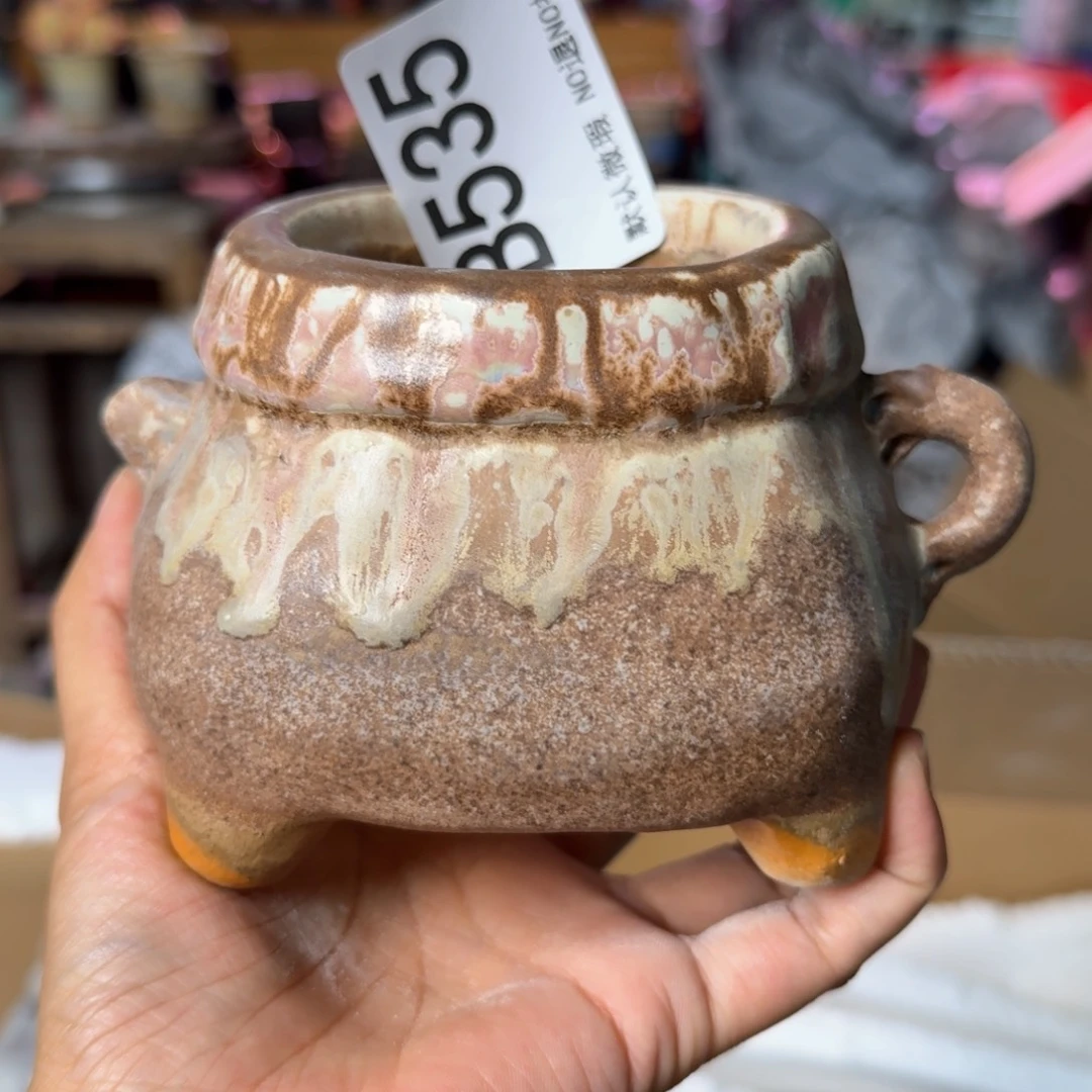 重庆小燕子欢迎大家535