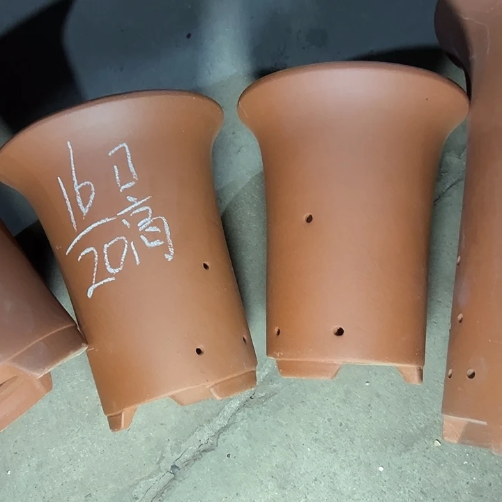 周三周四在宿舍~v