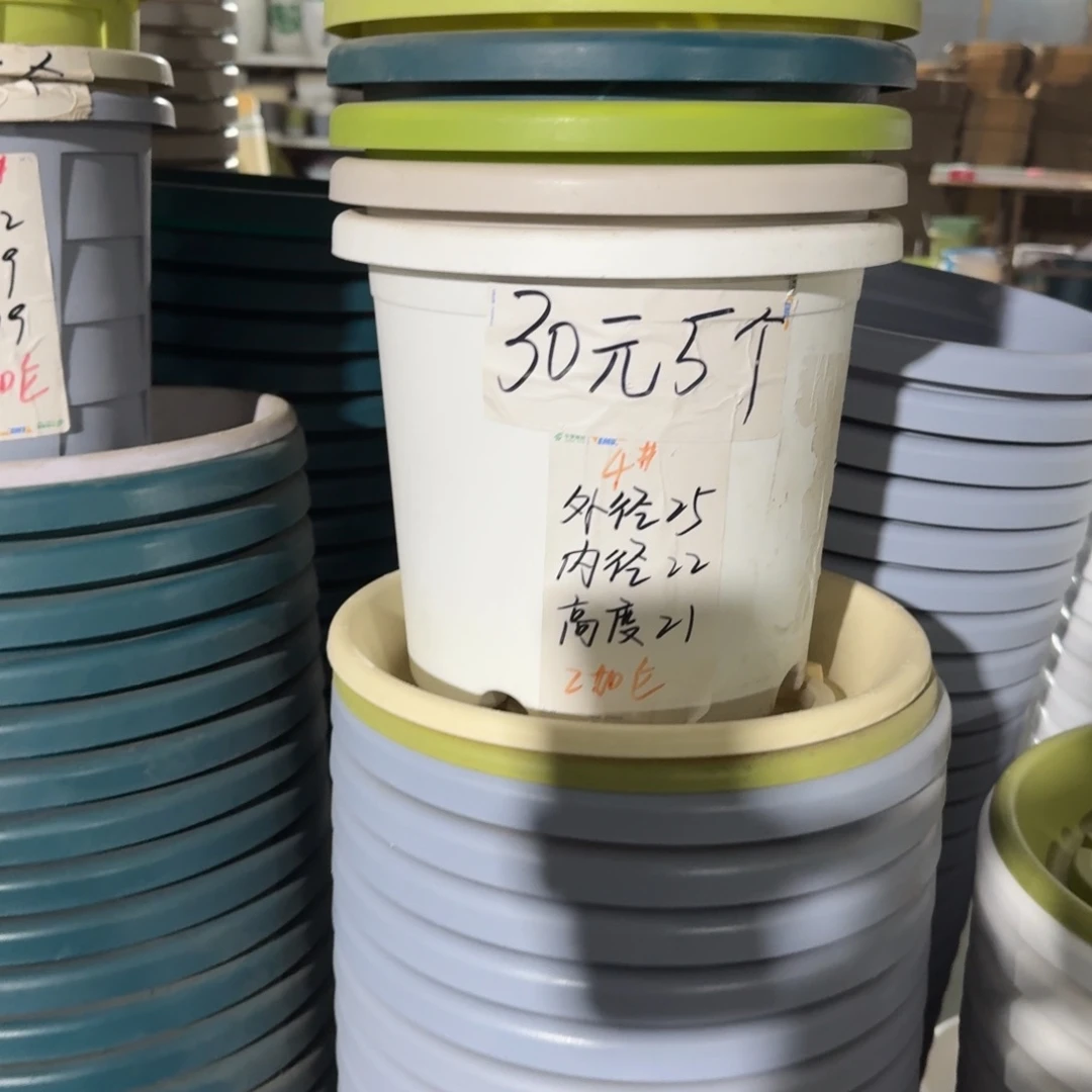 四季4#口径25无拖果绿8个