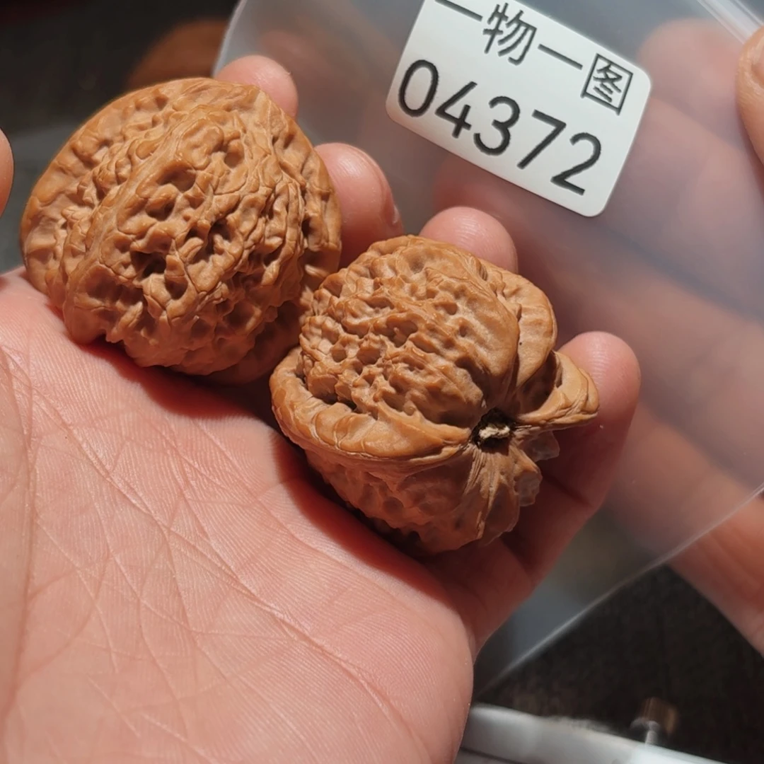 文玩核桃把件白狮子