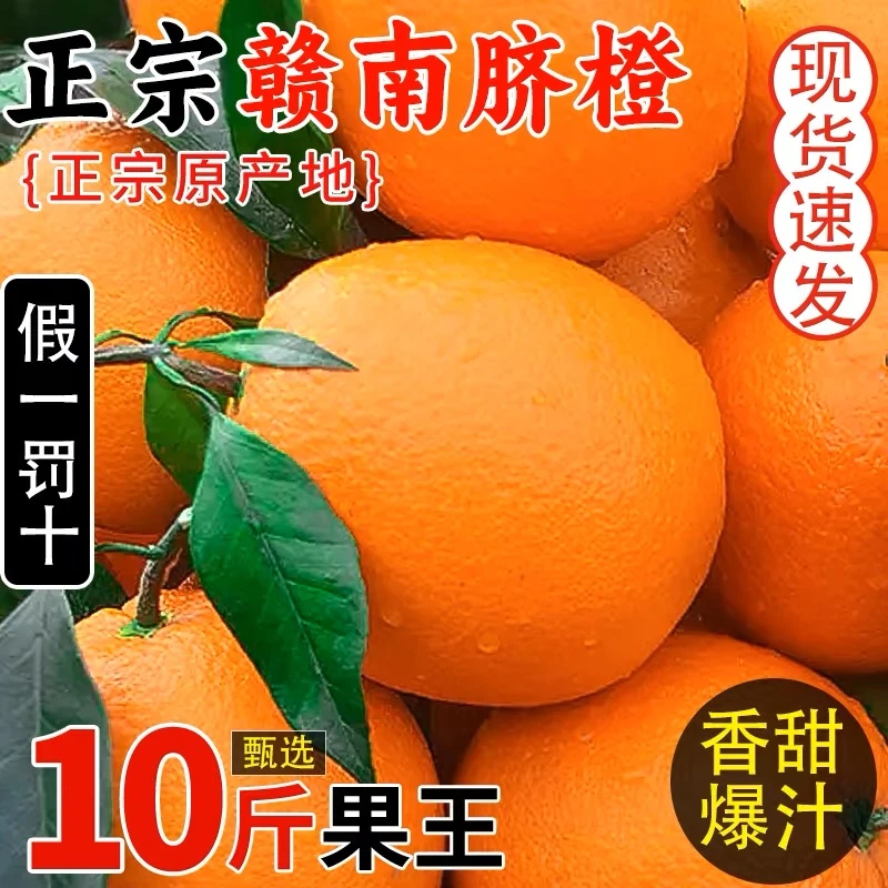 【平晏果园】江西正宗赣南脐橙甜新鲜水果赣州寻乌早橙子产地直发