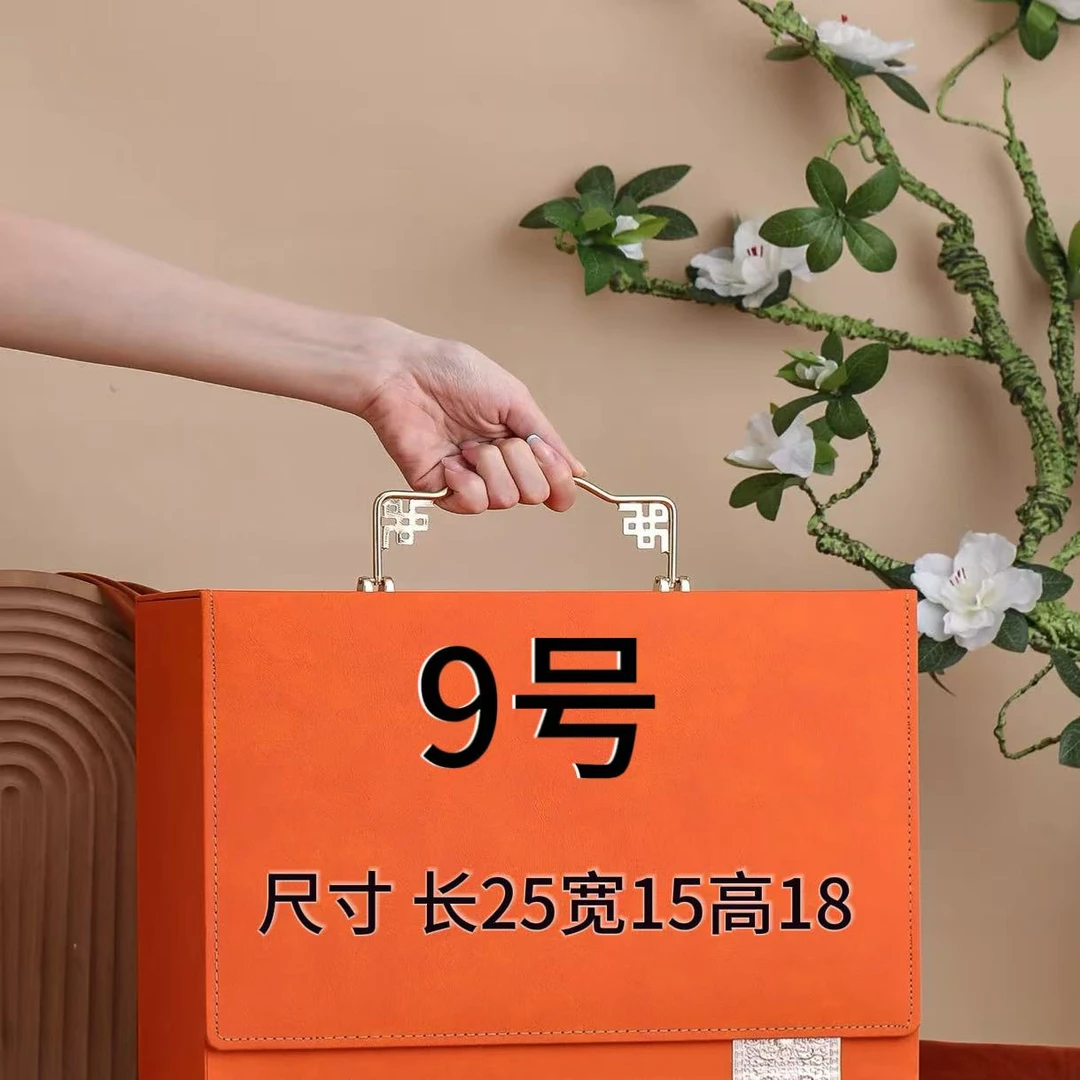 9号 经典时尚休闲百搭大号枕头包 A6556-6