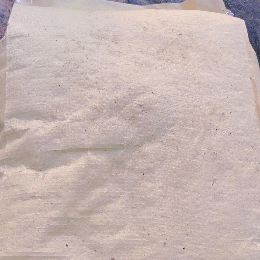 【闪购商品】纯泥潭19.9多肉