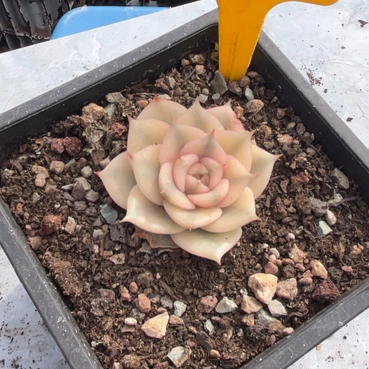 889 0000000000000000