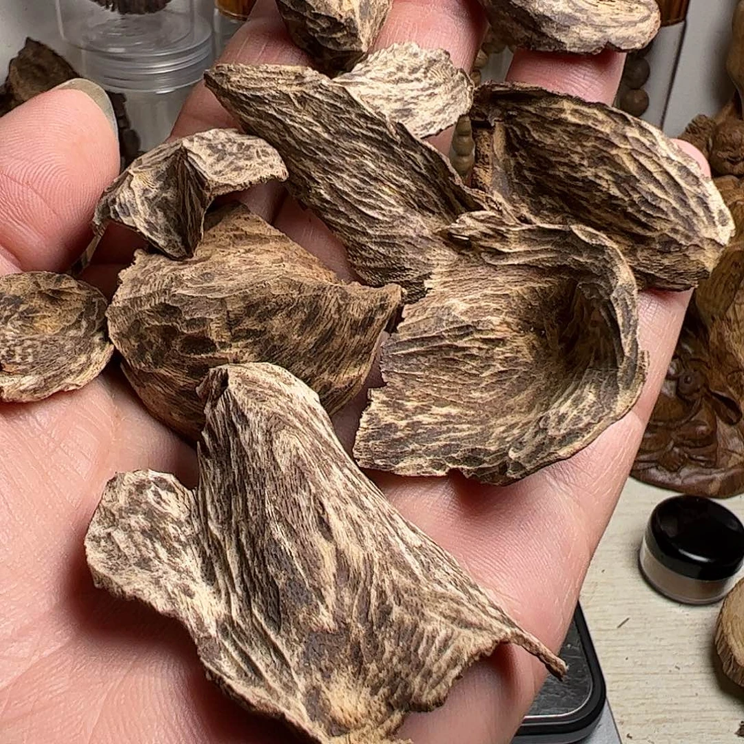 沉香沉香碎屑斯里兰卡耳朵料10克