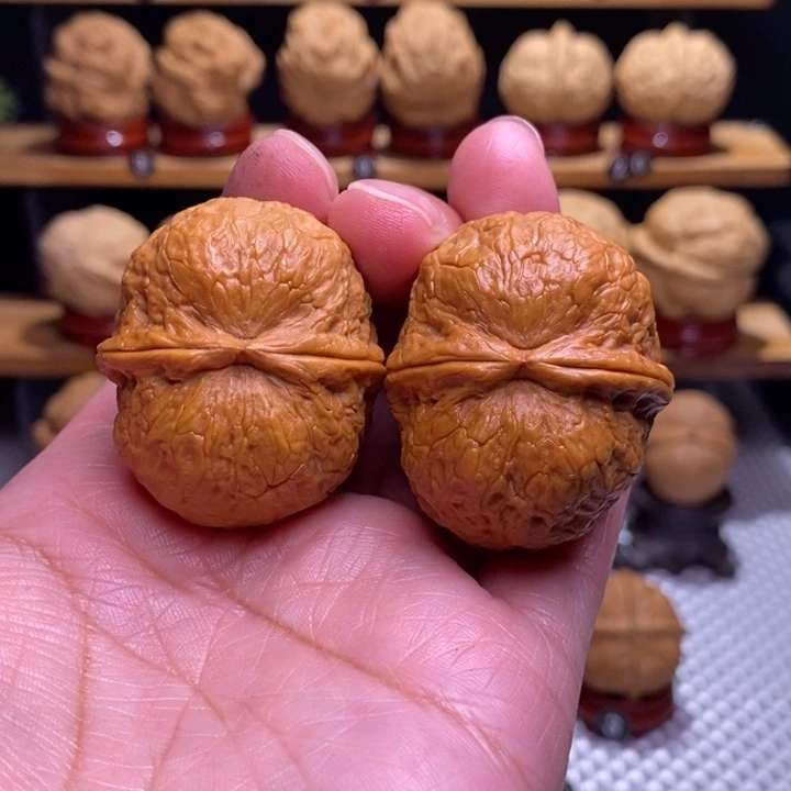 木质类云铁保山化石77号