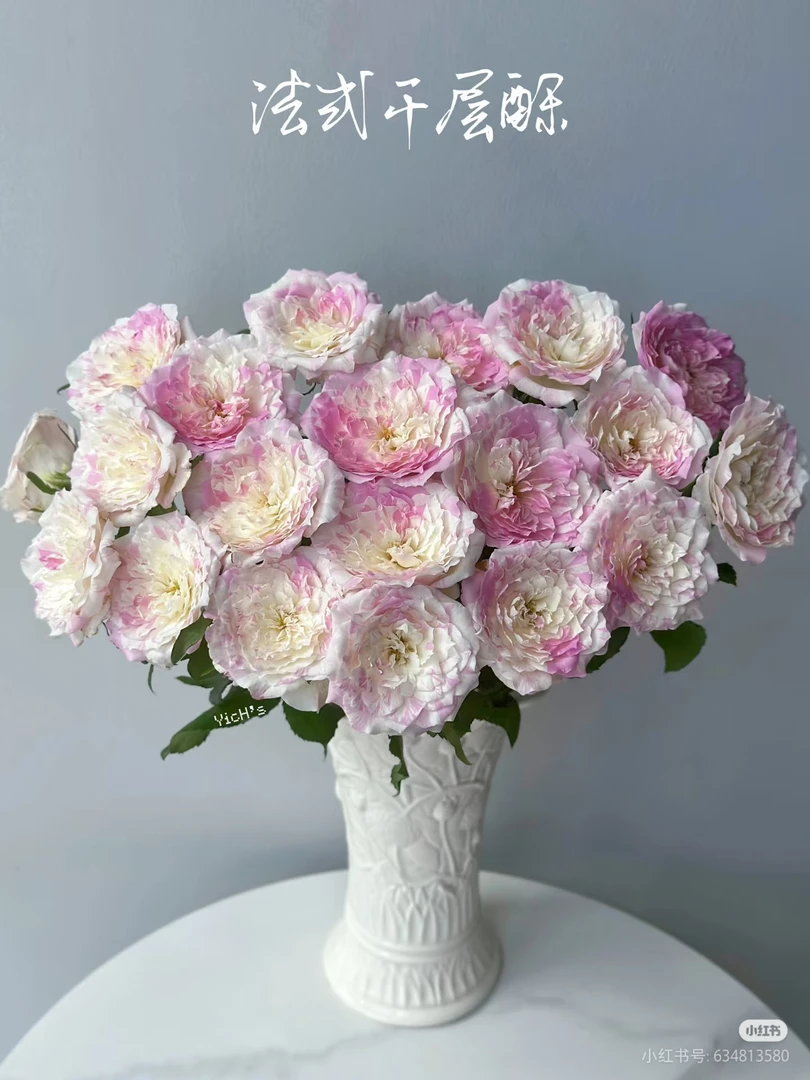 德瑞尔稀有法式千层酥10支两单包邮一单或低温不拍保温冻坏不售后