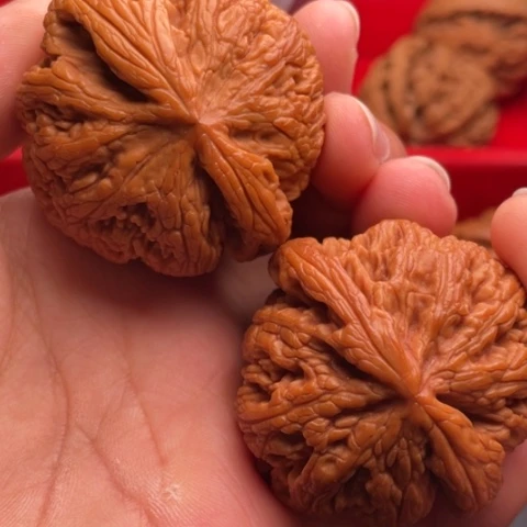 文玩核桃把件秦岭山脉核桃