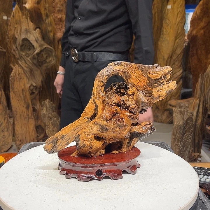 松木（琥珀木）想*