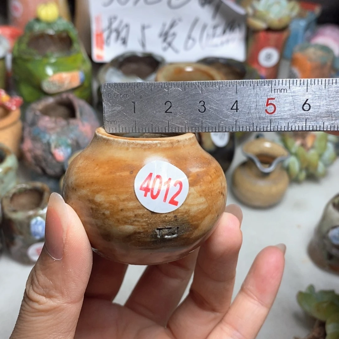 拍5送一个小礼物