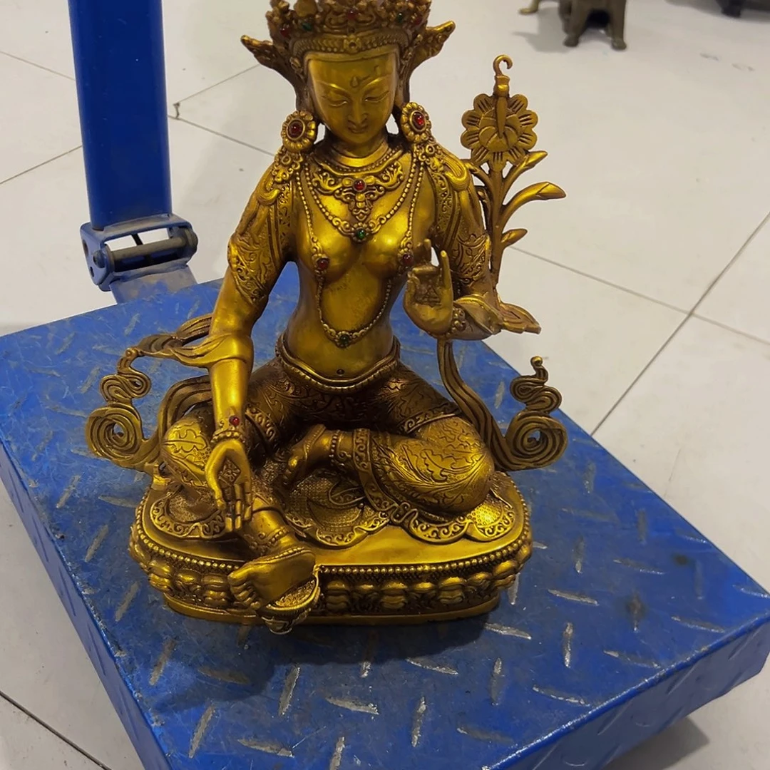 龙****?向前哈哈哈哈哈哈哈哈哈