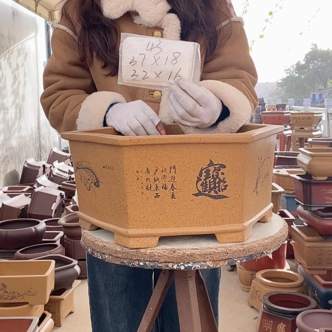 紫砂花盆紫砂花盆