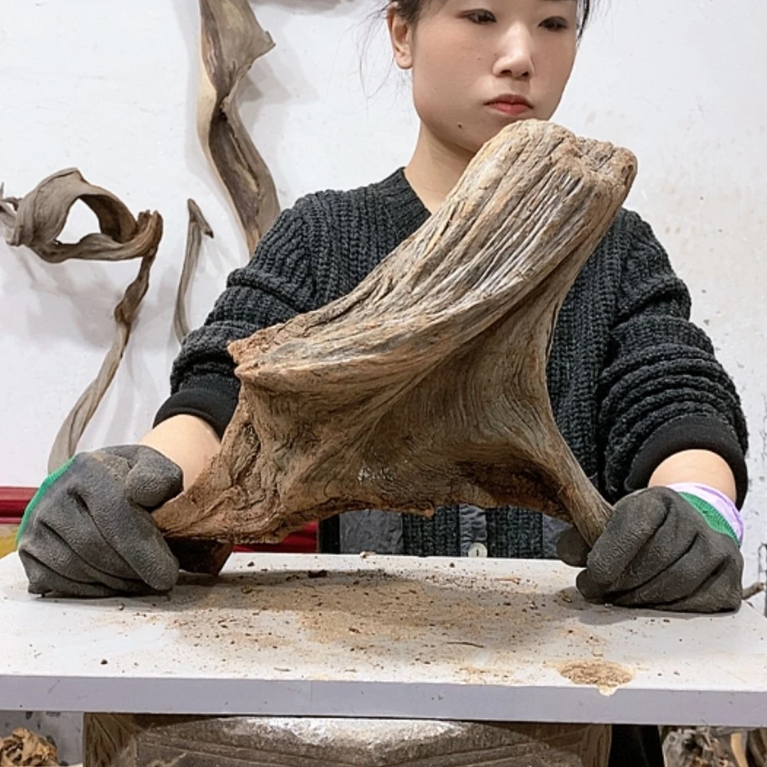 【闪购商品】柏木厦****。我们都是好孩子