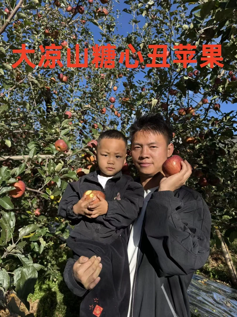 【小发专属】正宗四川大凉山盐源糖心丑苹果新鲜应季水果产地直发