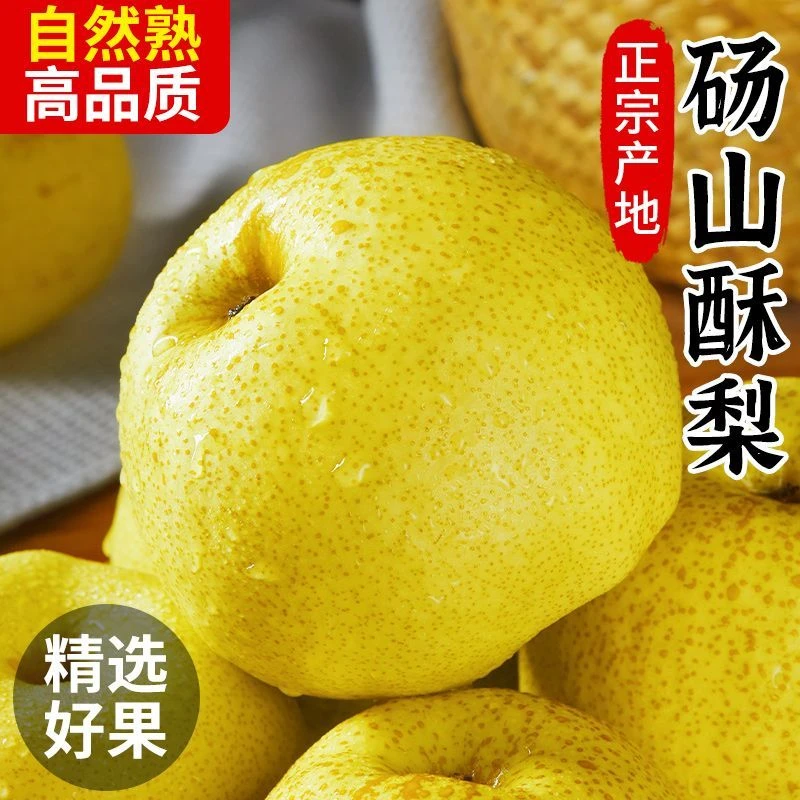 安徽砀山酥梨新应季头茬大果皮薄多汁香甜脆嫩水果脆甜爆汁