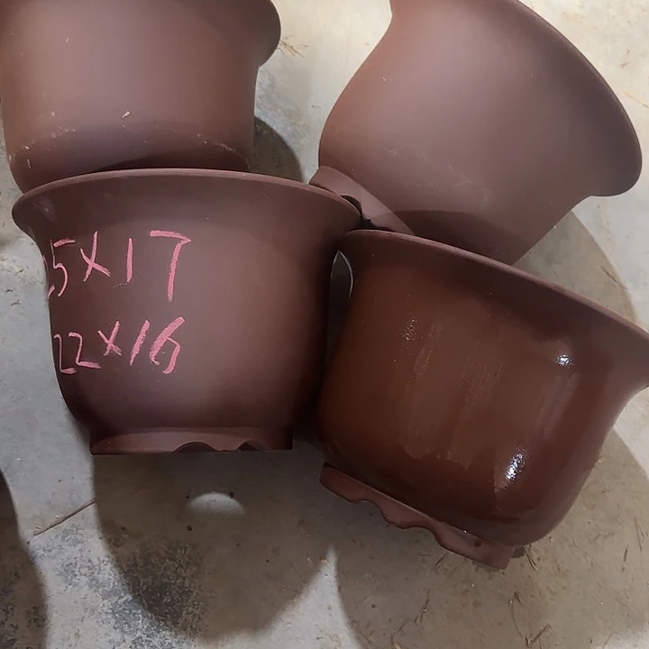 农***口25×17四只福利价