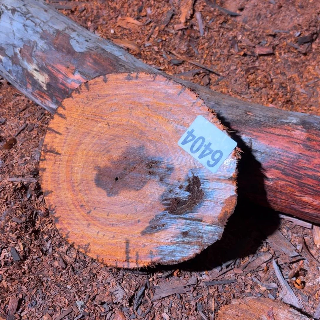 染料紫檀（血檀）6404