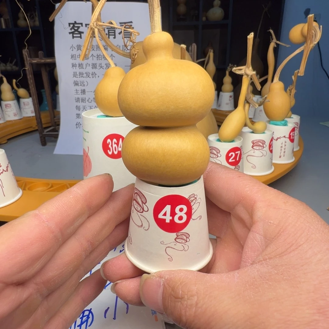 闪电购自助下单编号48