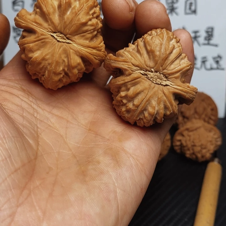 忠***影核桃42尺寸白狮子一对
