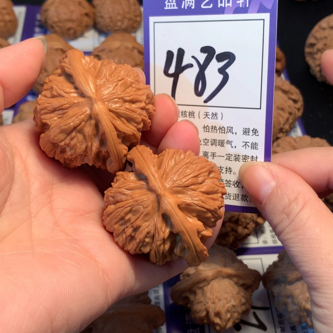 核桃483白狮子4.6微修