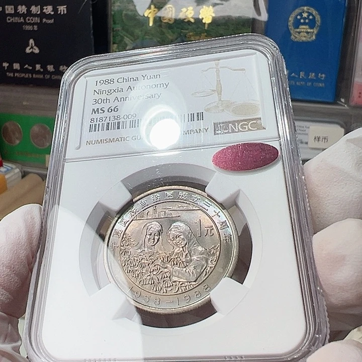 宁夏N66五彩11m，，，，，，，，