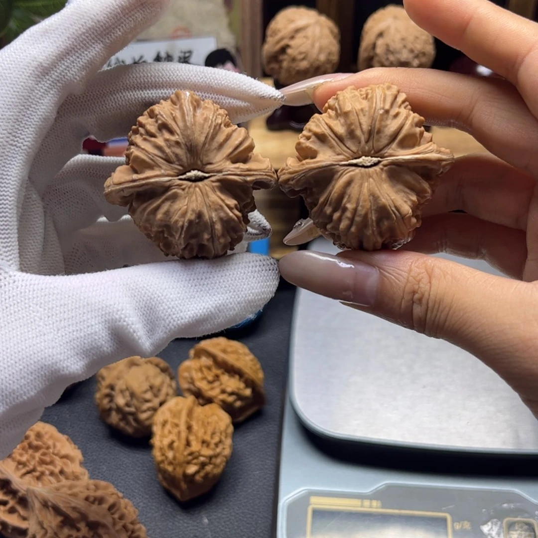 把件文玩核桃琦**理44全品白狮子边肚同尺170