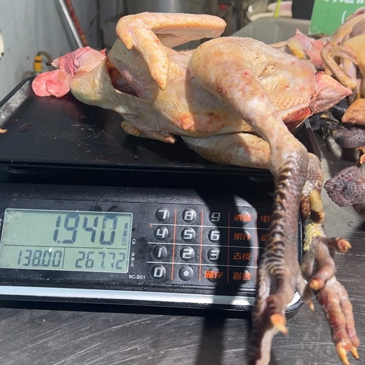 一号公鸡食用农产品中国大陆娜****跑