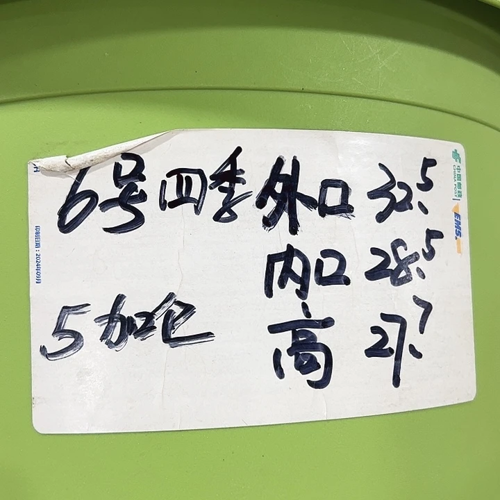 特价6号四季口32.5高27.7果绿无托7只