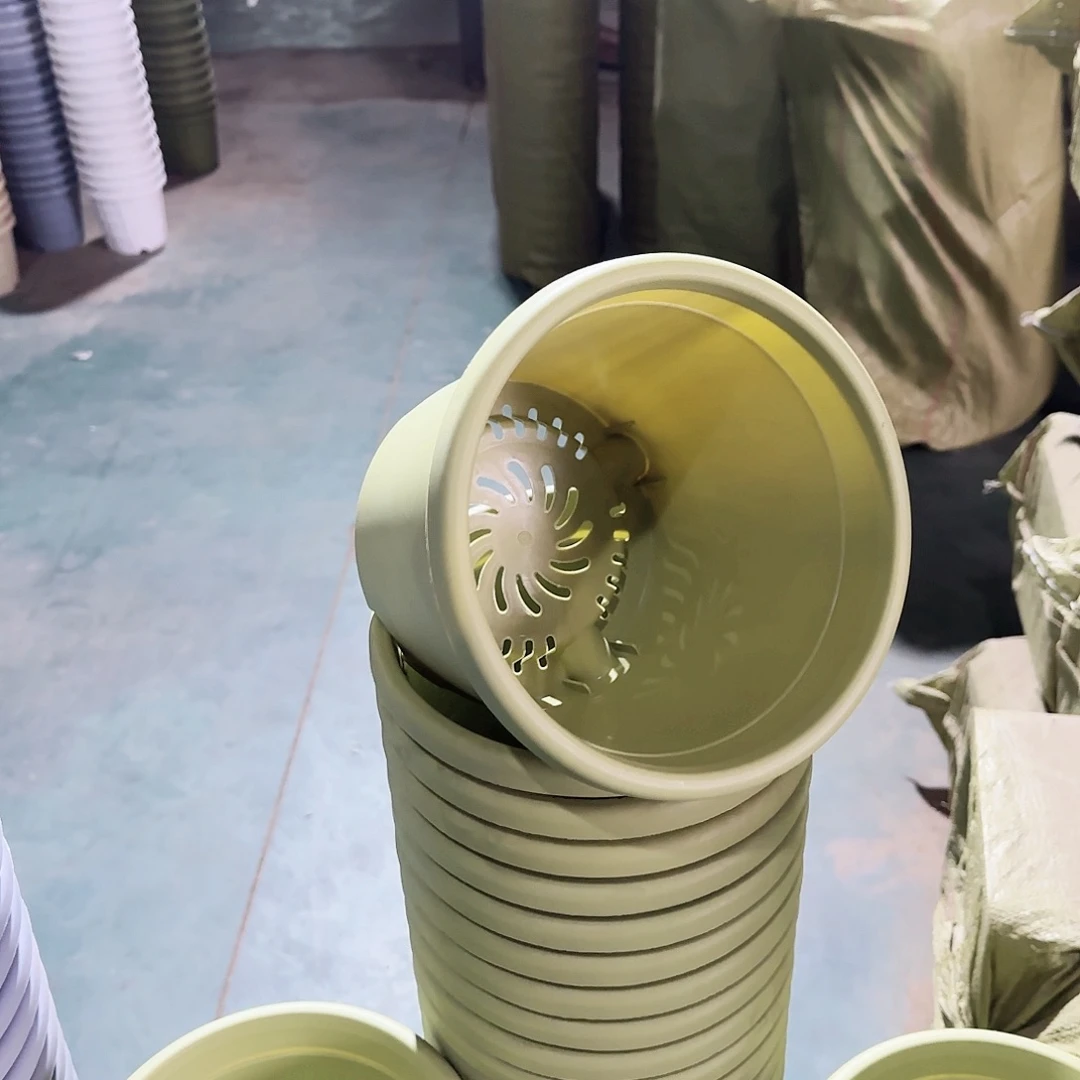 树脂四季3号10个果绿色