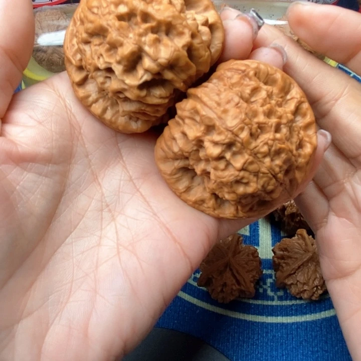 桃核吊坠龙鼎51全品