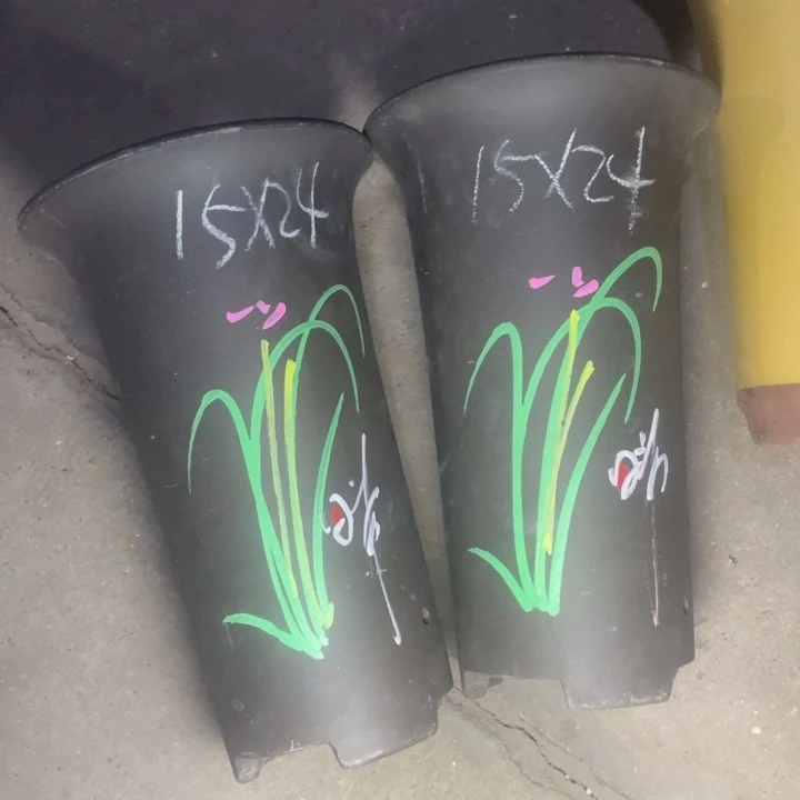 再说再说啧啧啧啧