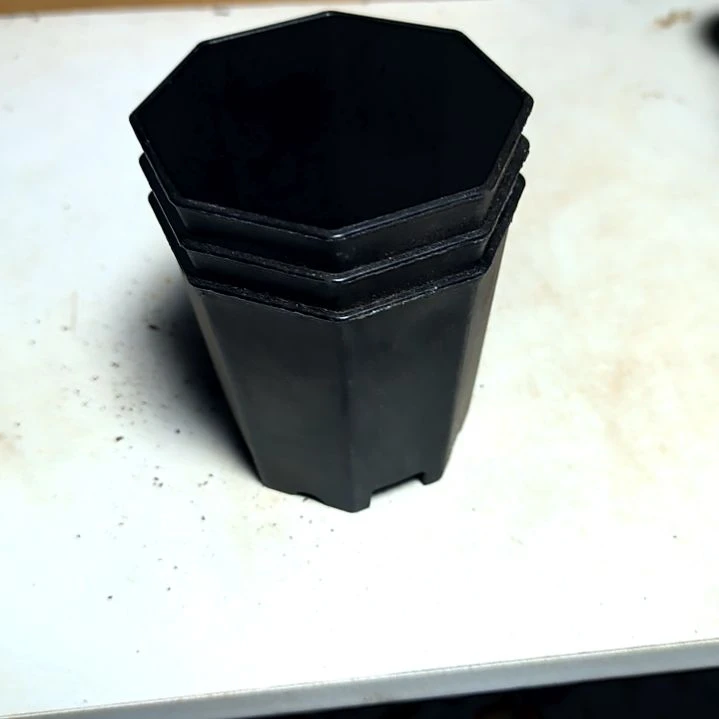 满6元包邮，大黑八角盆十个