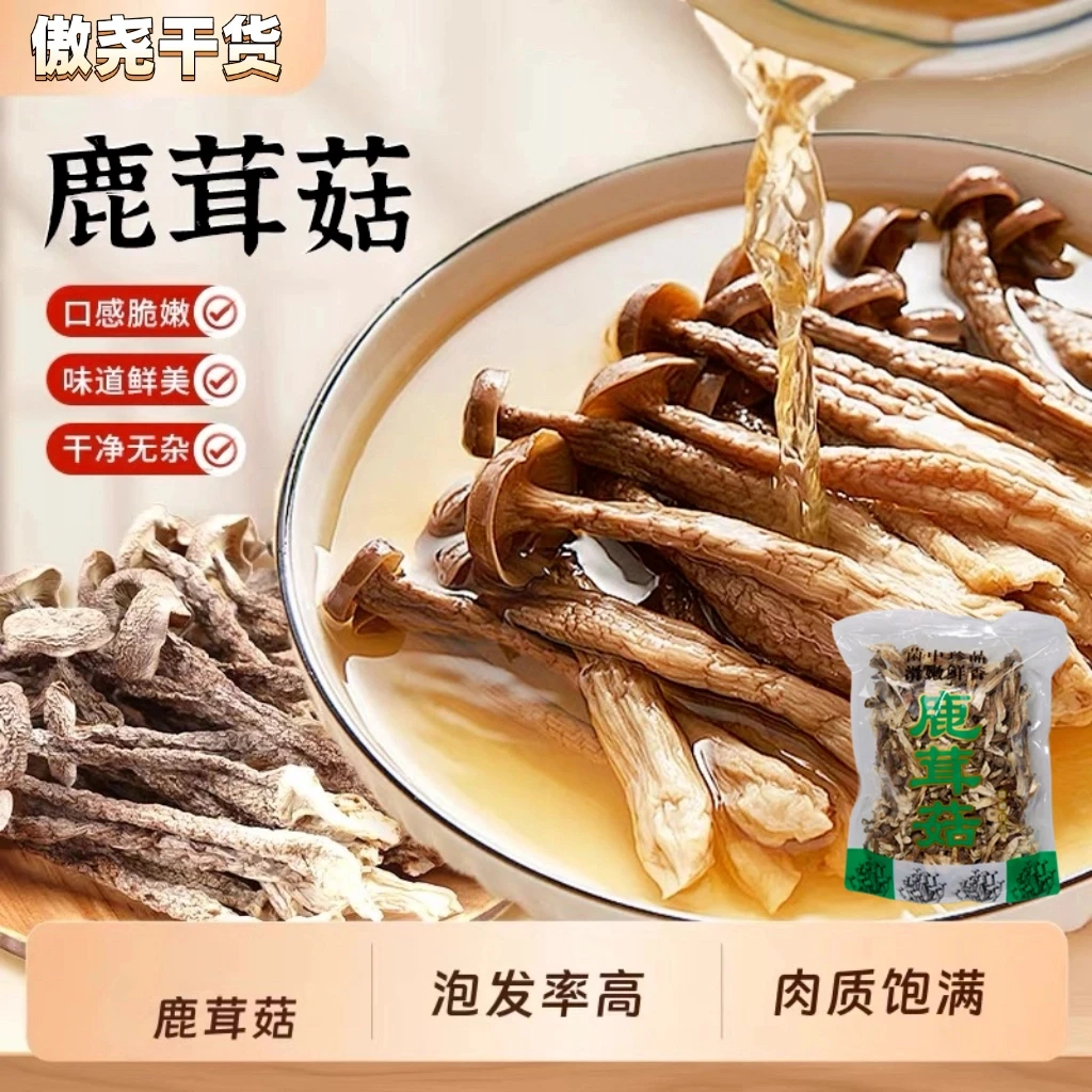 精选鹿茸菇干货 菌中珍品 鲜香脆嫩 营养美味[500克*1袋]QJ