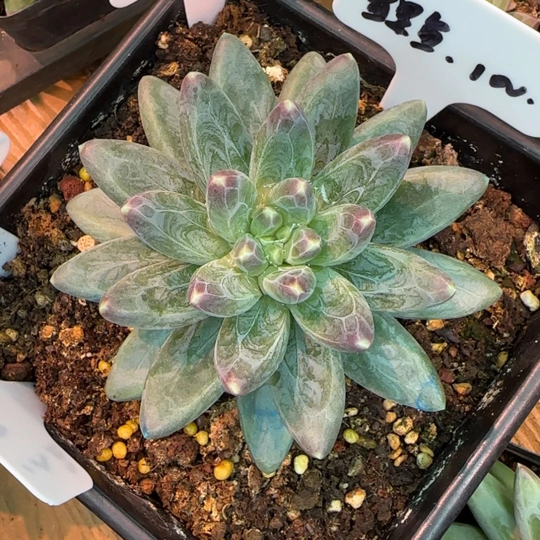 啊啊啊啊啊啊啊啊啊啊啊