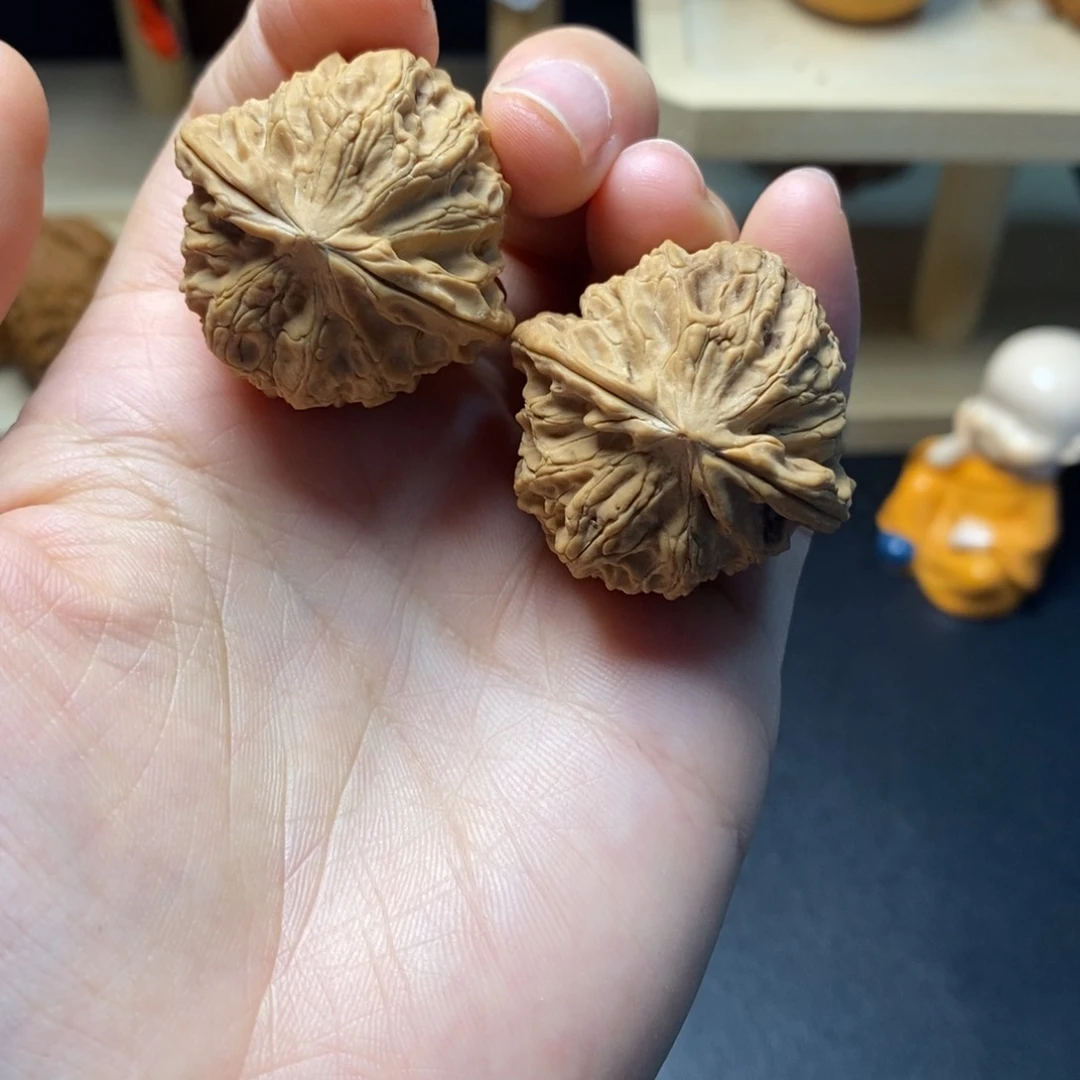 文玩核桃把件星*叶1号马老四33尺全品