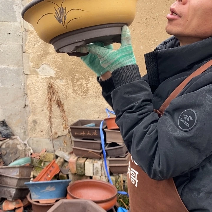 红陶在这一刻我觉得我真的