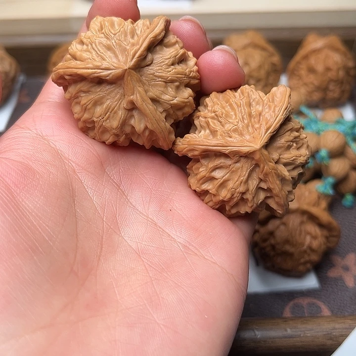 核桃41盘山三棱福利对4122