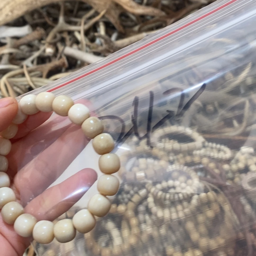 养****非金属鹿角鹿角鹿角