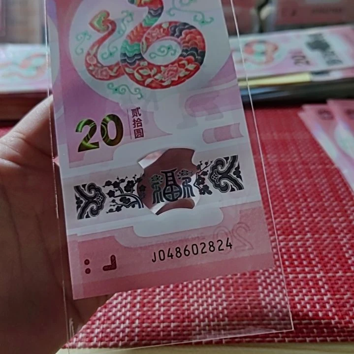 塑料小蛇钞全偶48602824单张