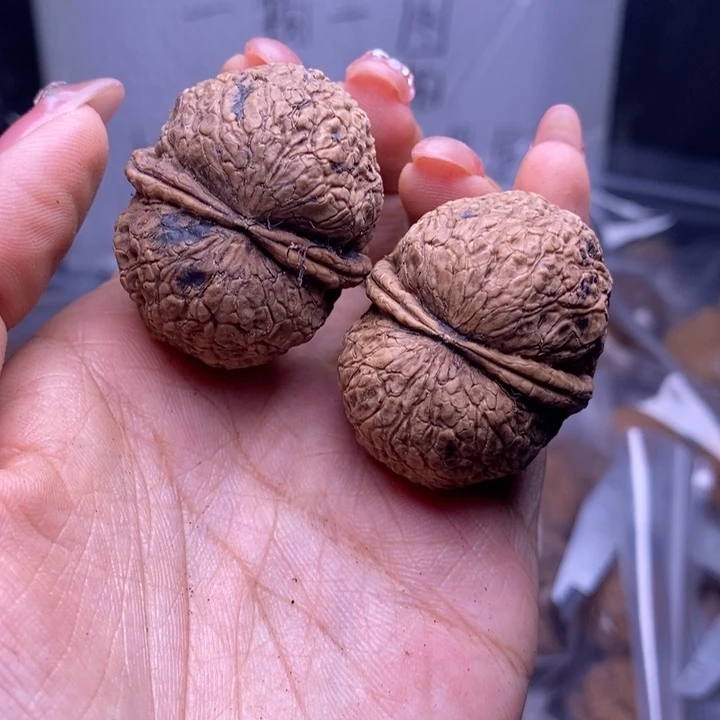 文玩核桃把件云南野生铁核桃208号37mm