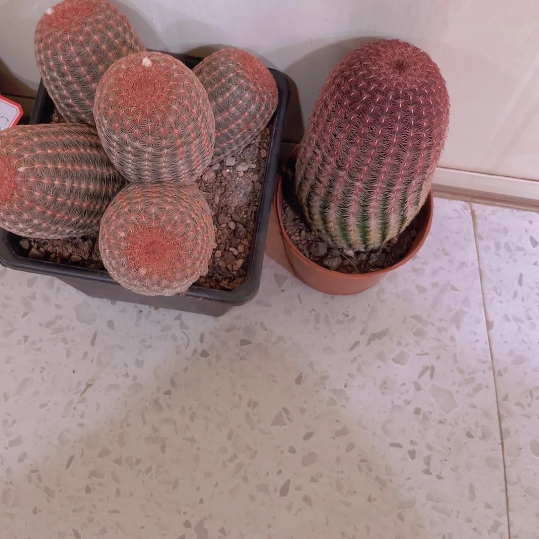 顺风顺水！顺风顺水