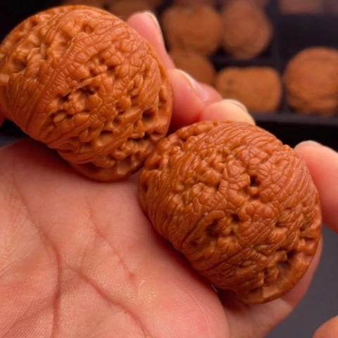 文玩核桃把件秦岭山脉核桃