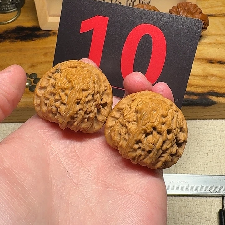 文玩麻核桃39尺寸白狮子10