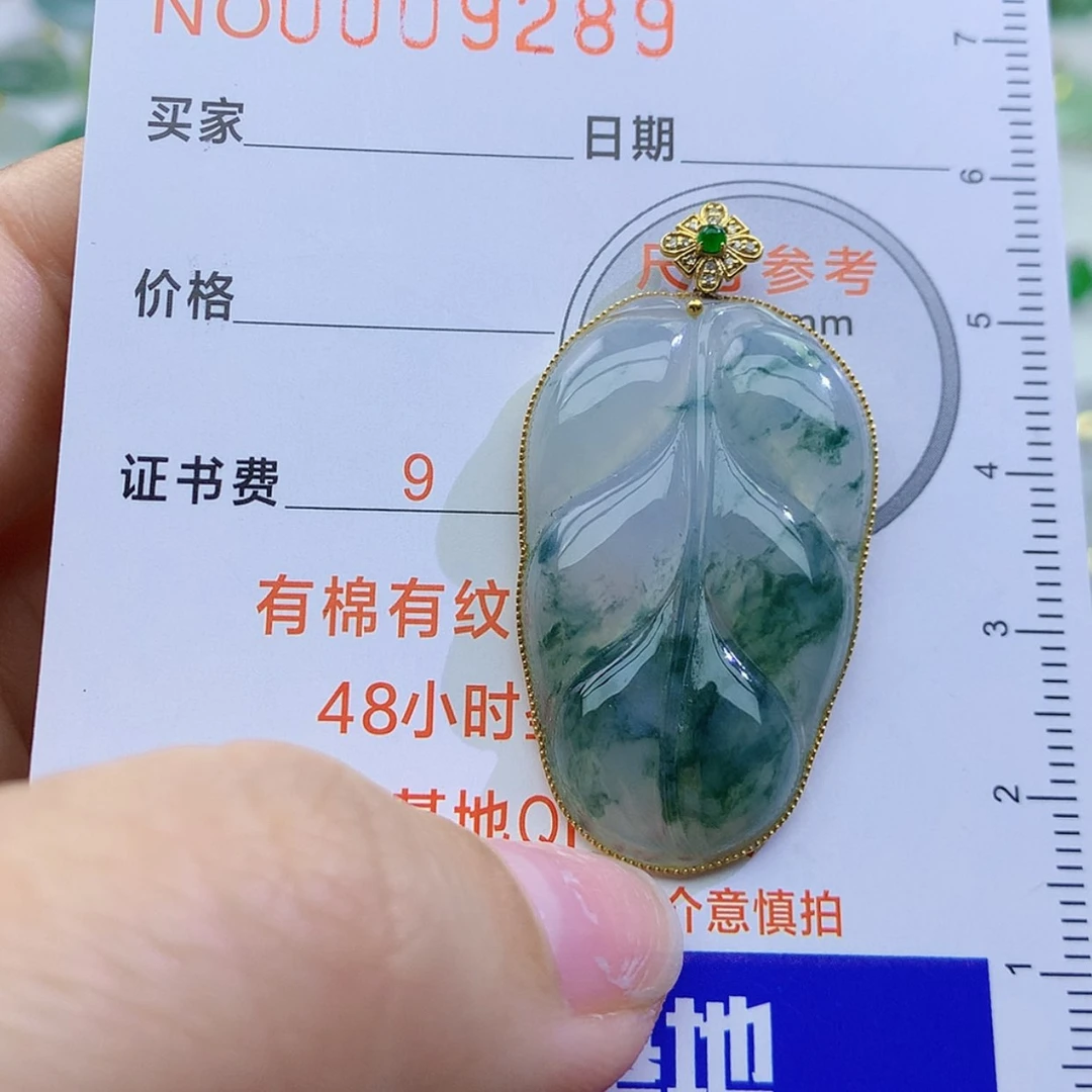 【闪购商品】翡翠颈饰未镶嵌颈饰7